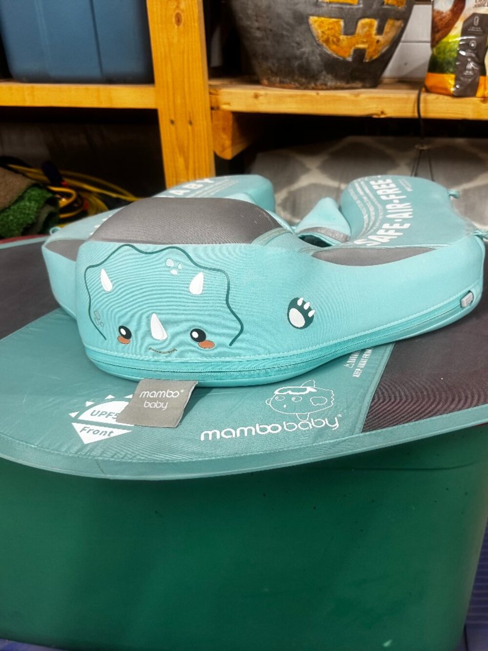 Mambobaby Non-Inflatable Baby Swim Float with UPF 50+ Canopy